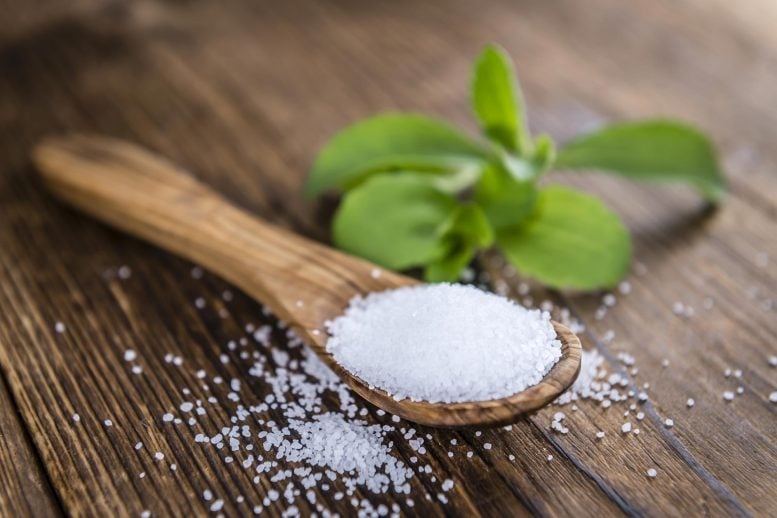 Sendok kayu pemanis granules stevia