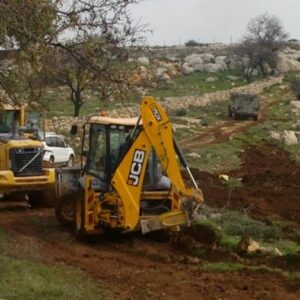 Pemukim Buldoze Traktat Luas Lahan Palestina di Jericho