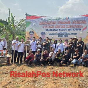 Pererat Kekompakan, Dandim 0427/Way Kanan Hadiri Gerakan Tanam Jagung Petani Mitra Adhyaksa