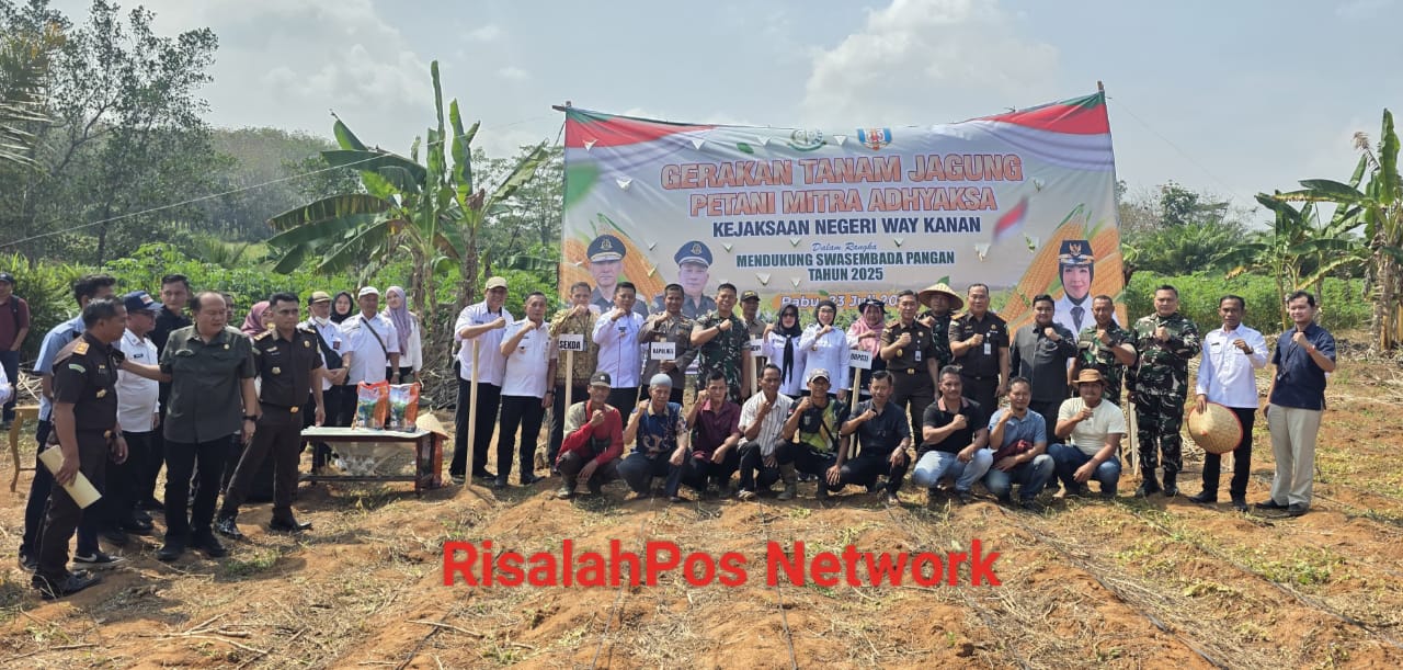 Pererat Kekompakan, Dandim 0427/Way Kanan Hadiri Gerakan Tanam Jagung Petani Mitra Adhyaksa