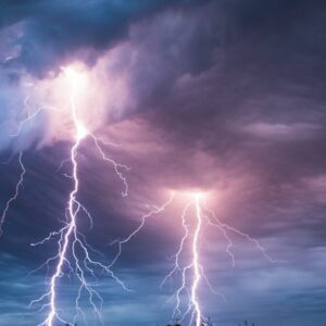 Petir membunuh lebih banyak pohon daripada yang dipikirkan siapa pun, penelitian baru menyarankan