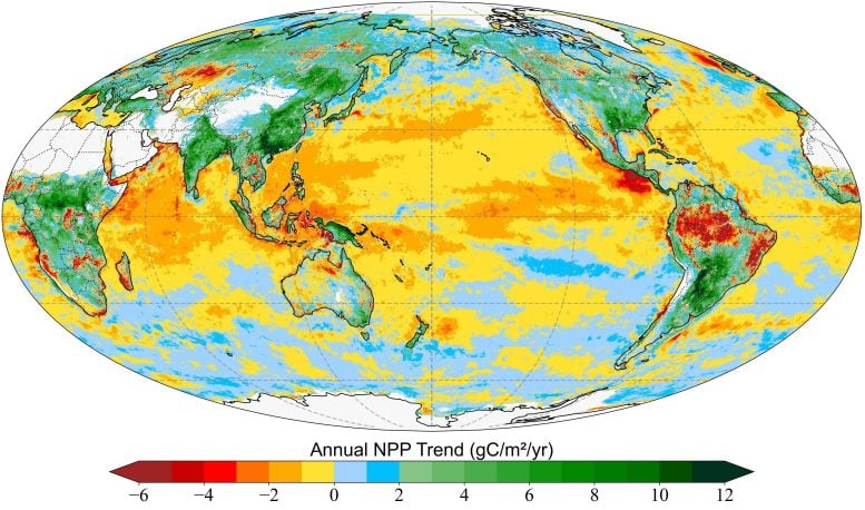 Global Net Primary Production 2003 2021