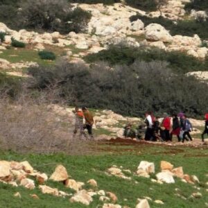 Dua aktivis asing terluka dalam serangan IOF di JV