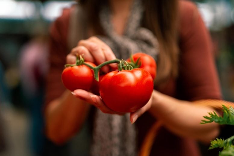 Wanita memegang tomat di pasar petani