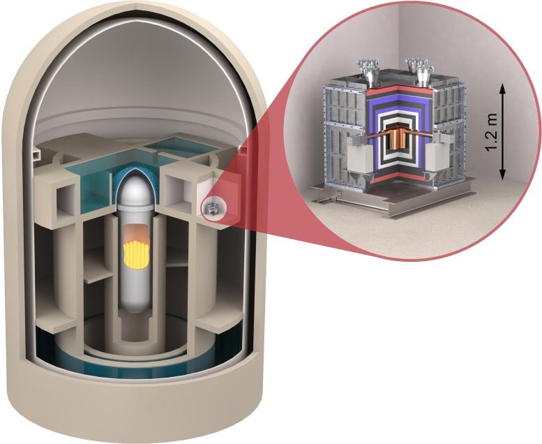 CONUS+ Leibstadt Reactor