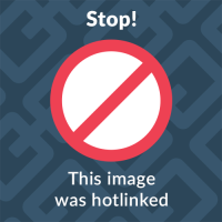 Elon Musk Troll Sean Duffy Dengan Meme Homofobik