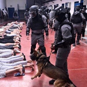 Bukan Hanya Disiksa, Aparat Israel Perkosa Tahanan Palestina Pakai Anjing