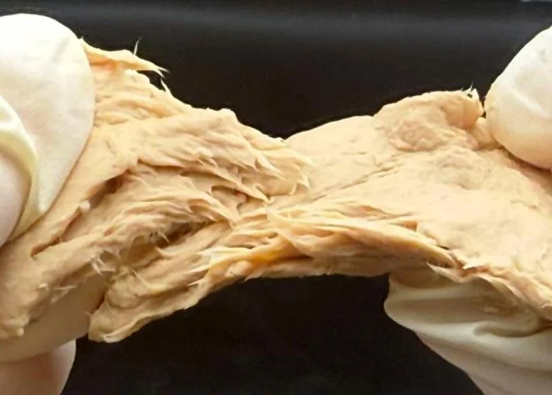 Keracunan Fusarium