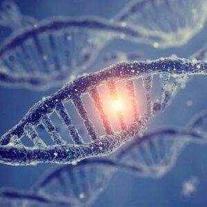 Konsep Mutasi Genetik