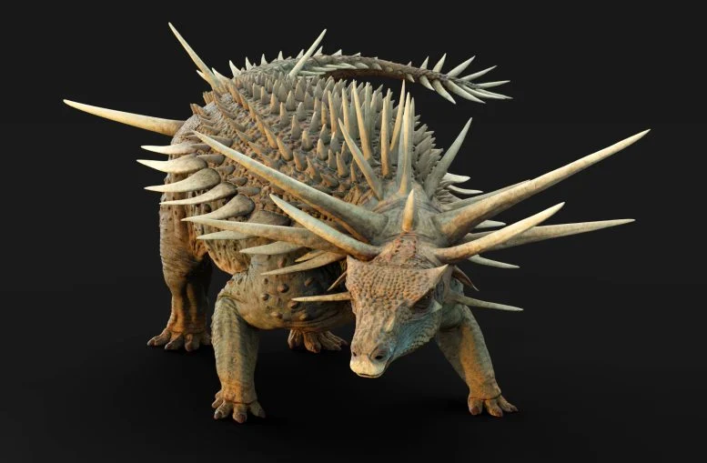 Spicomellus setelah Rekonstruksi Kehidupan