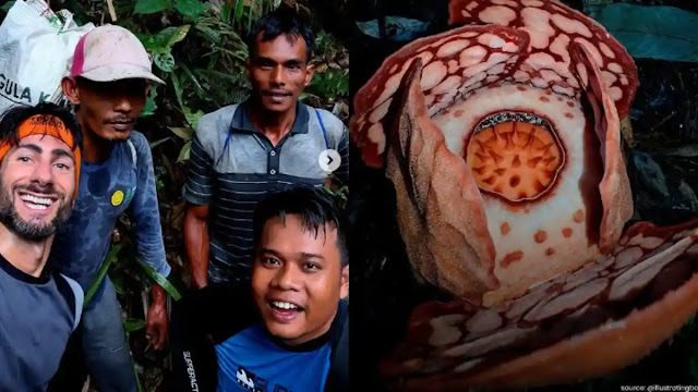 Keras! Anies Kritik Universitas Oxford yang Tidak Sebut Peneliti Indonesia Ikut Temukan Rafflesia Hasseltii
