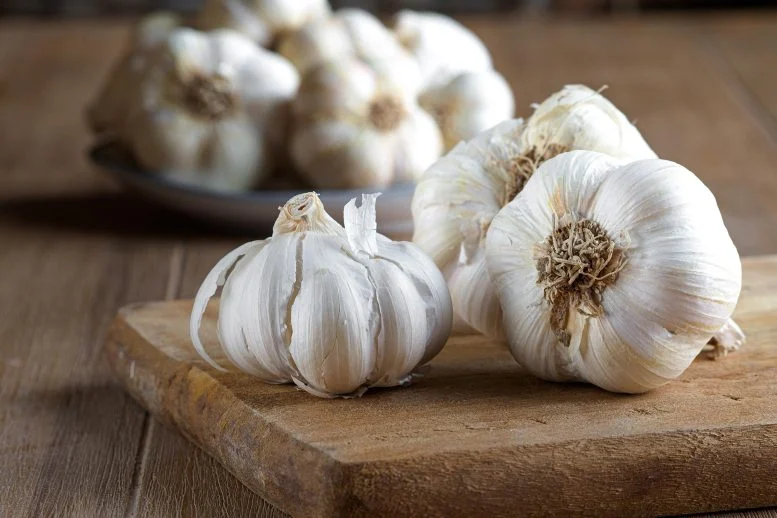 Umbi Bawang Putih Organik Segar
