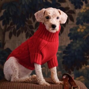 Psikologi Dibalik Tren Natal Ralph Lauren Dan Mengapa Ini Menang di Tahun 2025