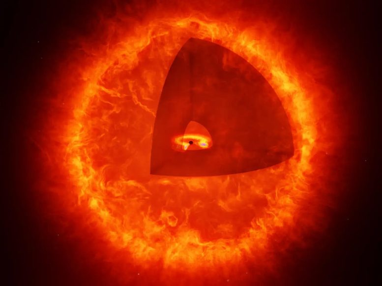 Bintang Lubang Hitam