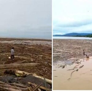 Viral Penampakan Gelondongan Kayu usai Banjir Bandang di Pantai Padang, Punya Siapa?
