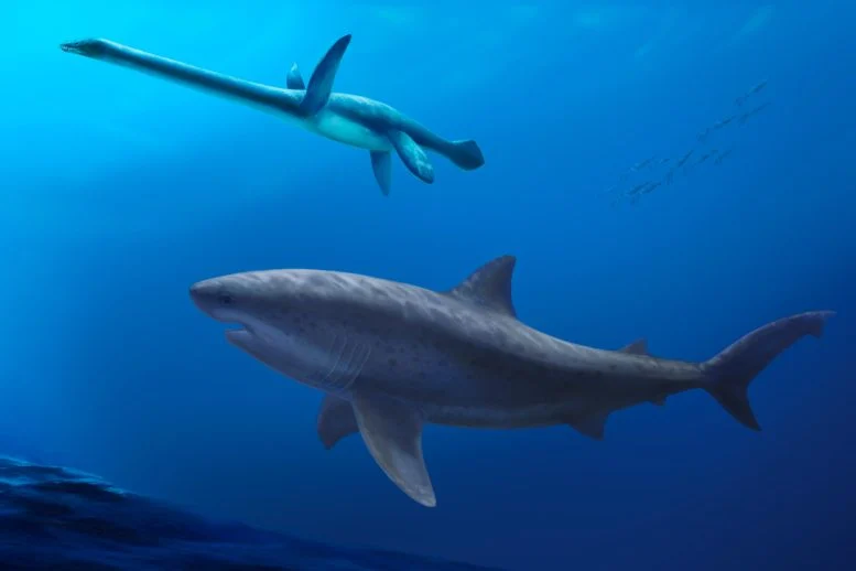 Mega-Predator Hiu Modern Tertua