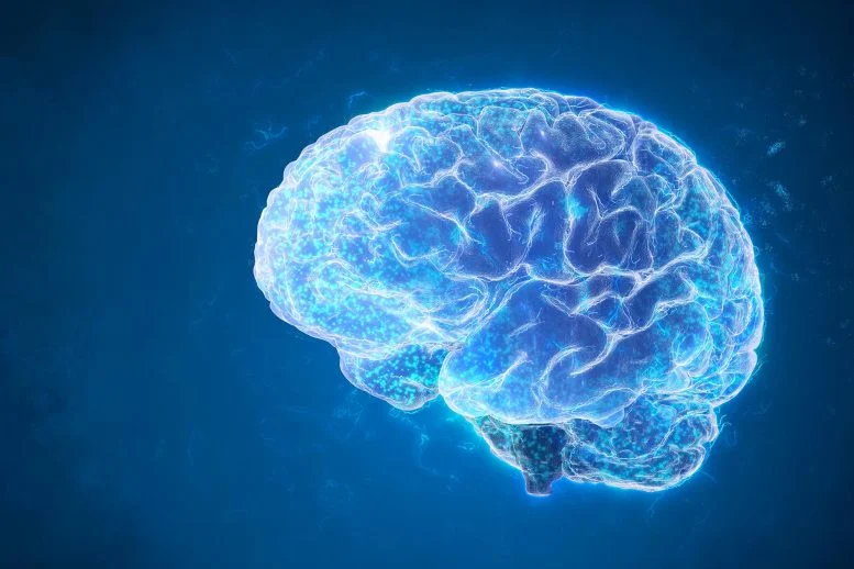 Peremajaan Peningkatan Otak yang Keren