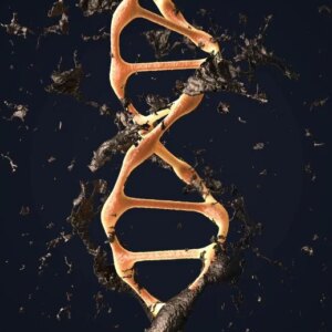 Kerusakan Genetik Regenerasi DNA