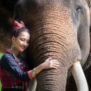 Turis Wanita Lanna Pakaian Tradisional Gajah Asia Pusat Konservasi Gajah Thailand Lampang Thailand