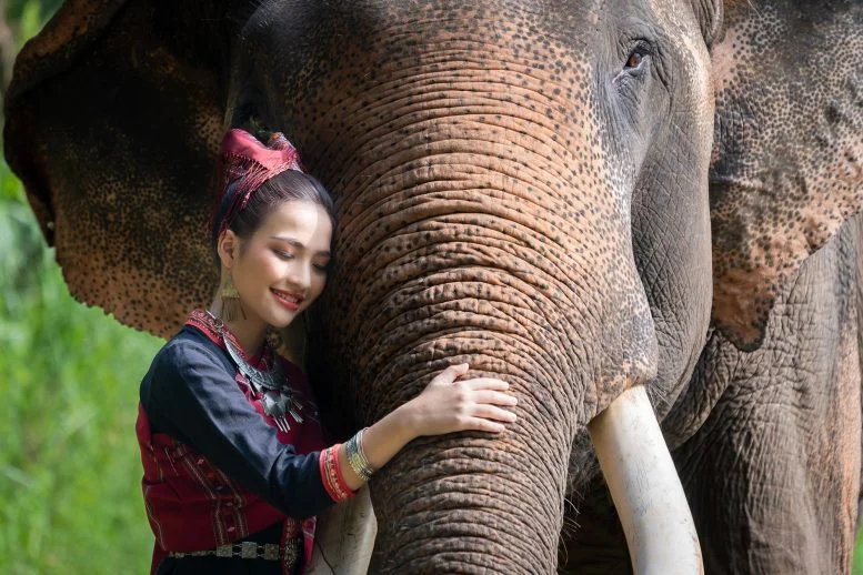 Turis Wanita Lanna Pakaian Tradisional Gajah Asia Pusat Konservasi Gajah Thailand Lampang Thailand