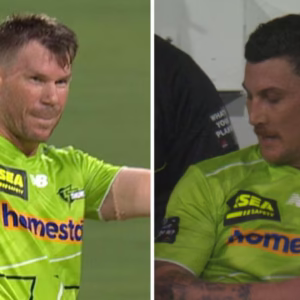 Laporan pertandingan Sydney Thunder vs Hobart Hurricanes dan skor akhir, blog, seratus sorotan David Warner, Nic Maddinson kembali dari kanker, Tim Ward setengah abad